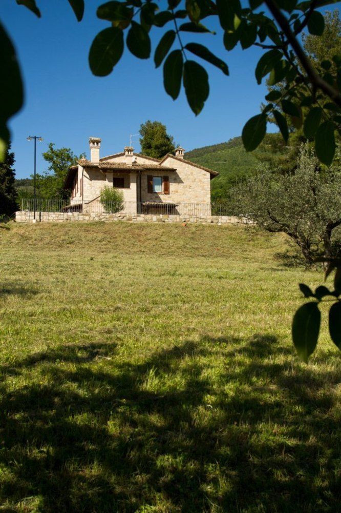 Villa Degli Ulivi Ассізі Екстер'єр фото