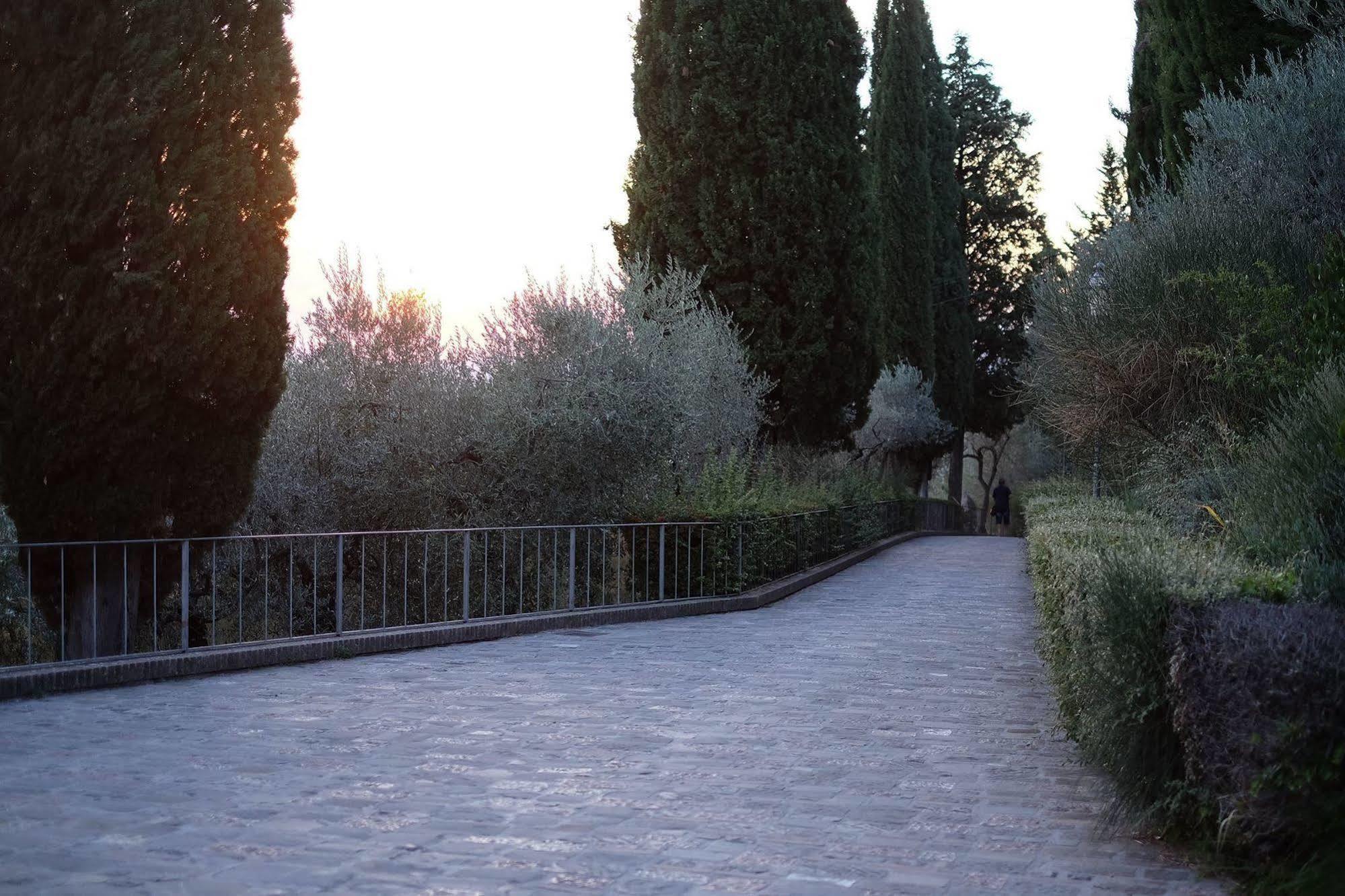 Villa Degli Ulivi Ассізі Екстер'єр фото